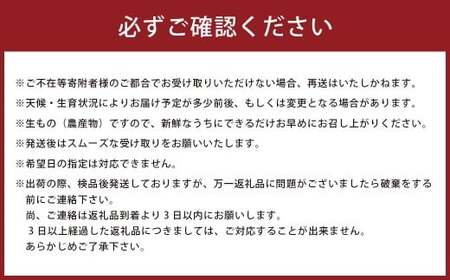 山本農園のスイートスプリング 4.5kg 【2026年1月下旬～3月下旬発送予定】 L61x1