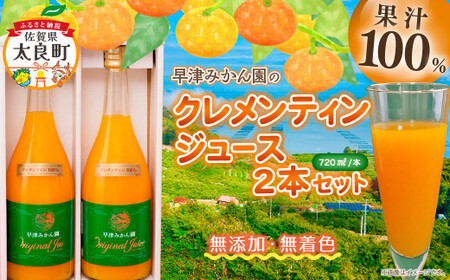 クレメンティンジュース 720ml 2本セット （家庭用） 【2026年2月上旬～9月下旬発送予定】 みかん 柑橘 フルーツ ジュース 早津みかん園 佐賀県 太良町 ND13x1-2