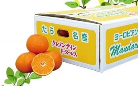 減農薬栽培のクレメンティン 5kg クレメンティン ミカン みかん 柑橘 柑橘系 柑橘類 果物 くだもの フルーツ 国産 佐賀県 太良町 O26x1