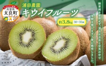 【体が喜ぶ】キウイフルーツ 30~35個(約3.8kg) バラ詰め合わせ スタンドパック 6袋付き 【2026年4月上旬まで順次発送予定】 キウイ フルーツ くだもの 果物 常温