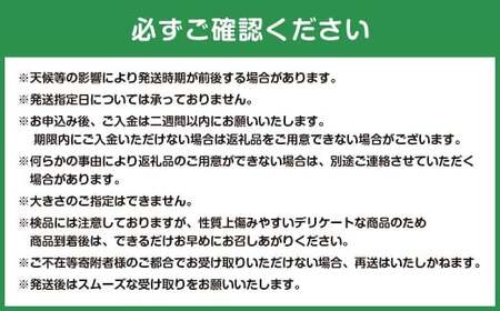 【体が喜ぶ】キウイフルーツ 30~35個(約3.8kg) バラ詰め合わせ スタンドパック 6袋付き 【2026年4月上旬まで順次発送予定】 キウイ フルーツ くだもの 果物 常温