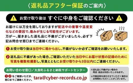【体が喜ぶ】キウイフルーツ 30~35個(約3.8kg) バラ詰め合わせ スタンドパック 6袋付き 【2026年4月上旬まで順次発送予定】 キウイ フルーツ くだもの 果物 常温