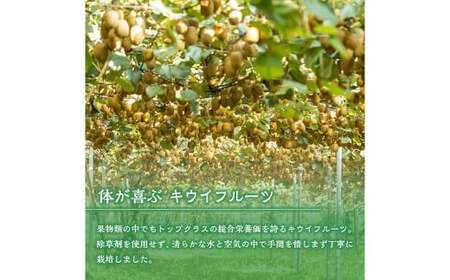 【体が喜ぶ】キウイフルーツ 30~35個(約3.8kg) バラ詰め合わせ スタンドパック 6袋付き 【2026年4月上旬まで順次発送予定】 キウイ フルーツ くだもの 果物 常温