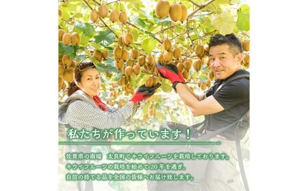 【体が喜ぶ】キウイフルーツ 30~35個(約3.8kg) バラ詰め合わせ スタンドパック 6袋付き 【2026年4月上旬まで順次発送予定】 キウイ フルーツ くだもの 果物 常温
