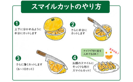 愛情たっぷりたらみかん（べにばえ）【種あり】5kg 【2026年2月下旬まで順次発送予定】 希少 べにばえ みかん ミカン 蜜柑 オレンジ 交雑種 さっぱり 甘味 おいしい ミネラル豊富 太良町 国産 贈答用 NA3x1