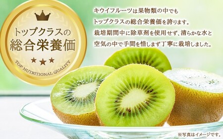 【体が喜ぶ】 キウイフルーツ 約2kg前後 （17～22個） バラ詰め合わせ （スタンドパック 3袋付き） 【2026年4月上旬まで順次発送予定】 果物 くだもの 果実 キウイフルーツ フルーツ キウイ 詰め合わせ バラ スタンドパック 国産 佐賀県産 太良町産