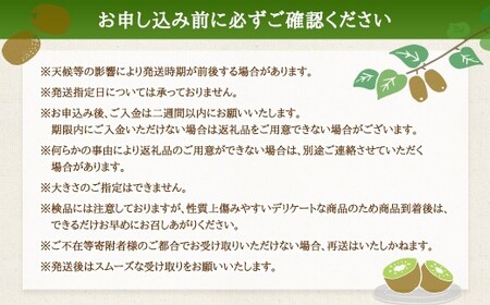 【体が喜ぶ】 キウイフルーツ 約2kg前後 （17～22個） バラ詰め合わせ （スタンドパック 3袋付き） 【2026年4月下旬まで順次発送予定】 果物 くだもの 果実 キウイフルーツ フルーツ キウイ 詰め合わせ バラ スタンドパック 国産 佐賀県産 太良町産