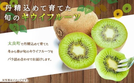 【体が喜ぶ】 キウイフルーツ 約2kg前後 （17～22個） バラ詰め合わせ （スタンドパック 3袋付き） 【2026年4月下旬まで順次発送予定】 果物 くだもの 果実 キウイフルーツ フルーツ キウイ 詰め合わせ バラ スタンドパック 国産 佐賀県産 太良町産