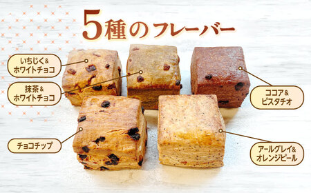 スコーン ギフトBOX 5個入り 長崎市/square coffee＆bake[LMP007]