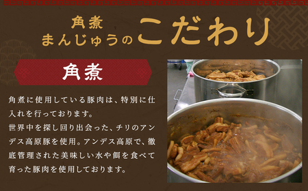 長崎 角煮まんじゅう 10個 レンチン 温めるだけ お手軽 角煮まん 角煮  冷凍 個包装 長崎