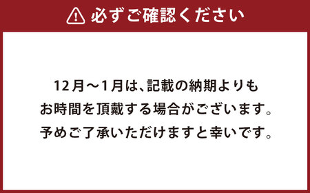 【長崎産】 アジなめろう 12パックセット !  使いやすい 食べきりサイズ ! あじ アジ 鯵 おつまみ おかず
