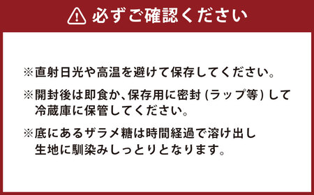 【15営業日以内に発送】異人堂 長崎カステラ1.0号 ／ 580g ( 10切カット ) ×2本 カステラ かすてら スイーツ お菓子 菓子 おやつ デザート ざらめ 長崎県 長崎市
