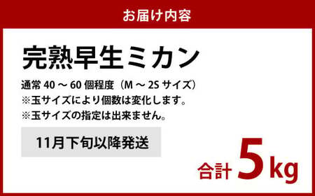 先行予約 完熟 早生みかん 約5kg箱 柑橘 ミカン【11月下旬以降発送予定】