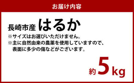 先行予約 はるか 約5kg 柑橘 かんきつ みかん 松上果樹園【2025年2月上旬より順次発送予定】