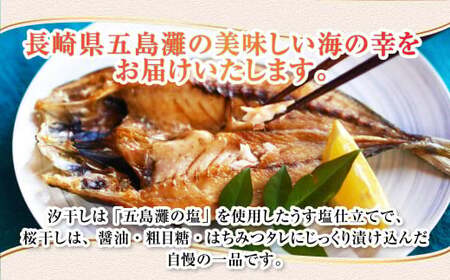 【全3回定期便】長崎五島灘荒波一夜干し 合計17枚 干物 ひもの 海鮮 魚介