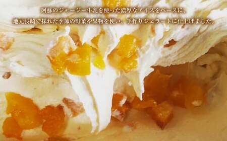 手作りアイス 8個セット デザート スイーツ ジェラート シャーベット