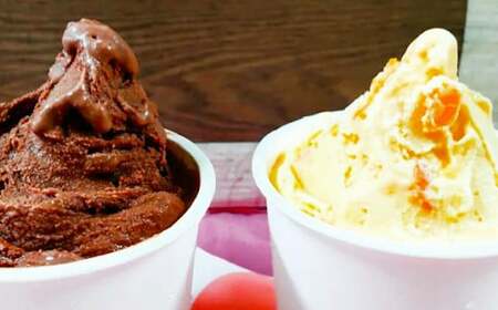 手作りアイス 8個セット デザート スイーツ ジェラート シャーベット