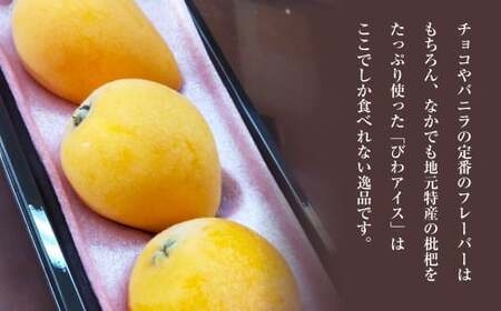 手作りアイス 8個セット デザート スイーツ ジェラート シャーベット