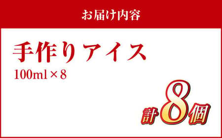 手作りアイス 8個セット デザート スイーツ ジェラート シャーベット