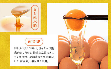 【7営業日以内発送】特撰カステラ1号 文明堂 総本店 かすてら 贈り物 お土産 常温