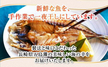【7営業日以内発送】長崎五島灘一汐干し 合計12枚 干物 ひもの 魚介 海鮮 魚 おつまみ おかず 肴