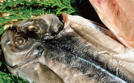 一夜干しオリジナルセット ひもの 干物 梅のや あじ かます ふぐ 甘鯛 連子鯛