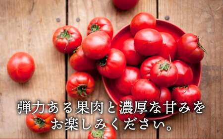 【数量限定 先行予約】たかしまフルーティトマト 糖度10度以上 「ハートの女王」1kg箱 2025年3月頃から4月頃にかけて順次発送