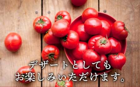 【数量限定 先行予約】たかしまフルーティトマト 「情熱ハート」 1kg箱×1  【2025年3月下旬より順次発送予定】