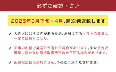 【数量限定 先行予約】たかしまフルーティトマト 「情熱ハート」 1kg箱×1  【2025年3月下旬より順次発送予定】