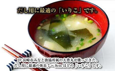 【7営業日以内発送】「大豊丸のいりこ」タレ (だし用) 1kg 煮干し 出汁 魚介類 水産物 国産 長崎
