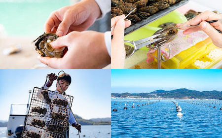 【7営業日以内発送】《アコヤ真珠》7.5-8.0mm フォーマルパールネックレス【★★★★☆】 ジュエリー アクセサリー