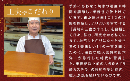 【7営業日以内発送】【カットあり】長崎和三盆かすてら0.5号 カステラ デザート スイーツ 琴海堂