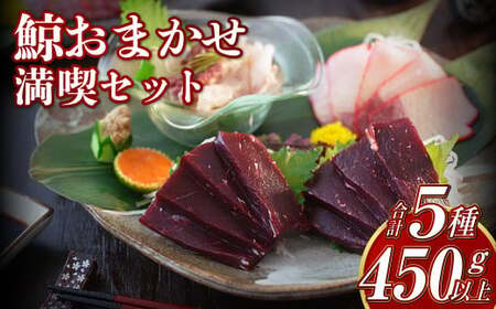 【7営業日以内発送】鯨 おまかせ 満喫セット 5種類以上 約450g以上 食べ比べ セット くじら 鯨肉 おつまみ 珍味