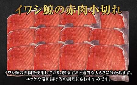 くじら 赤肉 小切れ 170g×12個セット クジラ 鯨 赤身 刺身 おつまみ