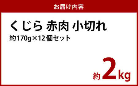 くじら 赤肉 小切れ 170g×12個セット クジラ 鯨 赤身 刺身 おつまみ