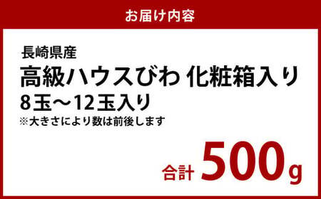 長崎 高級 ハウス びわ 化粧箱入り 500g 枇杷 ギフト 贈答用 果物 フルーツ くだもの 【2025年4月上旬から下旬発送予定】