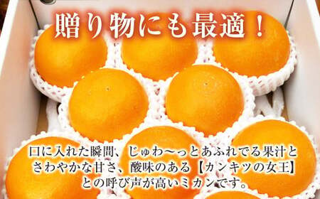 先行予約 ハウスせとか 3kg 8～15玉 化粧箱セット フルーツ 果物 くだもの ミカン みかん【2025年2月下旬より順次発送予定】