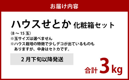 先行予約 ハウスせとか 3kg 8～15玉 化粧箱セット フルーツ 果物 くだもの ミカン みかん【2025年2月下旬より順次発送予定】