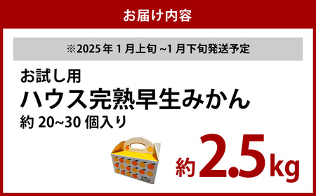 先行予約 ハウス 完熟 早生みかん お試し 約2.5kg箱 フルーツ 果物 くだもの ミカン  【2025年1月上旬～1月下旬に順次発送予定】