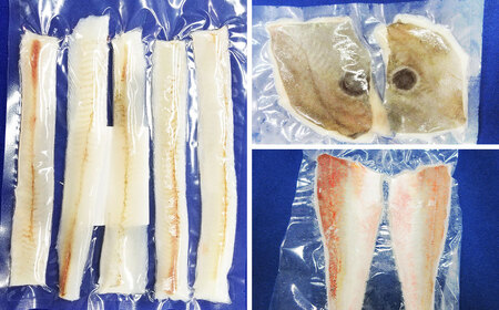 【7営業日以内発送】長崎お魚切り身セット2 魚 お魚 三枚おろし タレ付き 海鮮 海産物 魚介