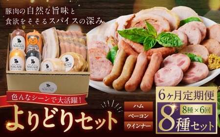 【全6回定期便】よりどりセット ( スモークウィンナー ベーコン ロースハム ベリーロール ビアシンケン スペックヴルスト ヤークトヴルスト リオナ )