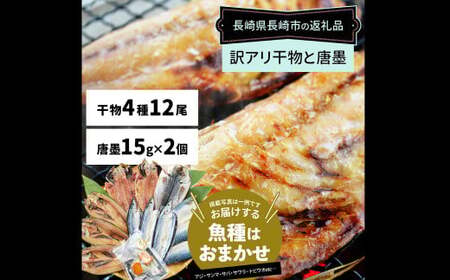 訳ありおまかせ干物 4種類 (12枚) とカラスミ詰め合わせ ／ ひもの 海の幸 魚介類 海鮮 唐墨 からすみ 長崎県 長崎市