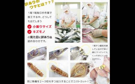 訳ありおまかせ干物 4種類 (12枚) とカラスミ詰め合わせ ／ ひもの 海の幸 魚介類 海鮮 唐墨 からすみ 長崎県 長崎市