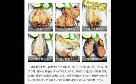 訳ありおまかせ干物 4種類 (12枚) とカラスミ詰め合わせ ／ ひもの 海の幸 魚介類 海鮮 唐墨 からすみ 長崎県 長崎市