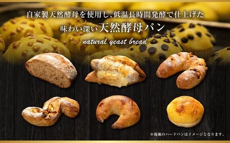 【訳あり】 自家製天然酵母のハード系パンセット 計8個 自家製 冷凍 パン ハードパン 冷凍パン 惣菜パン 菓子パン