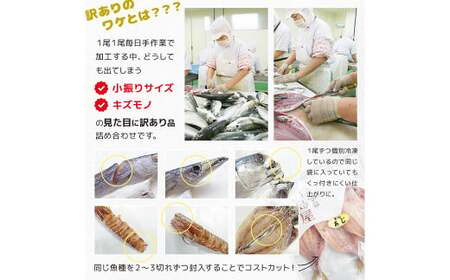 【全12回定期便】長崎加工 訳ありおまかせ干物 4種類 (12枚) と カラスミ詰め合わせ ／ わけあり ワケアリ 理由あり 干物 からすみ 訳アリ 定期便 長崎県 長崎市