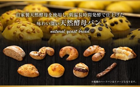 【訳あり】 自家製 天然酵母のハード系 パン セット 計11個 ／ le'pang 菓子パン 惣菜パン 自家製天然酵母 詰め合わせ 小麦 朝食 冷凍