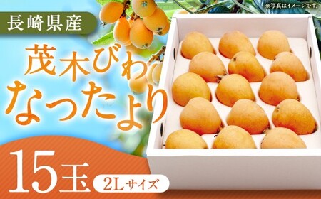 【期間限定！～12月31日まで寄附額改定中】先行予約 茂木 びわ『なつたより』2Lサイズ 15玉入り  【2026年5月下旬～6月上旬迄発送予定】 ／ 果物 くだもの フルーツ 枇杷 ビワ 長崎 川口農園 アフター保証