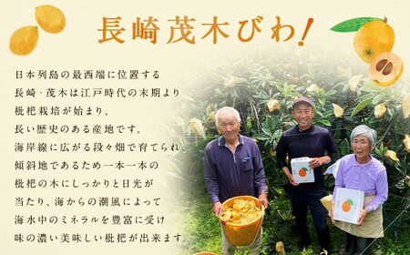 【期間限定！～12月31日まで寄附額改定中】先行予約 茂木 びわ『なつたより』2Lサイズ 15玉入り  【2026年5月下旬～6月上旬迄発送予定】 ／ 果物 くだもの フルーツ 枇杷 ビワ 長崎 川口農園 アフター保証