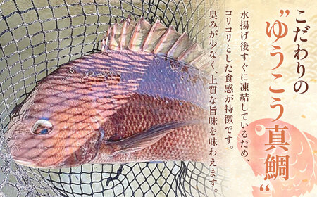 ゆうこう真鯛の胡麻ダレ海鮮丼の素 4食分 計280g(70g×4袋) 鯛 タイ マダイ 魚介類 海産物 ギフト お歳暮 父の日 長崎